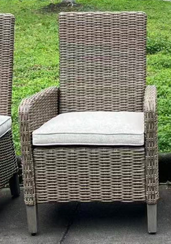 Laguna Heights Arm Chair with Cushion (Set of 2) - Furniture Land (Milwaukee, WI)