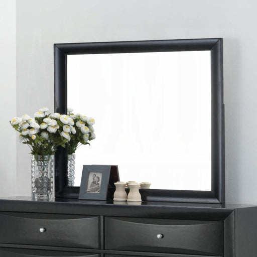 Ireland Mirror - Furniture Land (Milwaukee, WI)