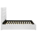 Felicity Beds - Furniture Land (Milwaukee, WI)