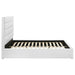 Felicity Beds - Furniture Land (Milwaukee, WI)