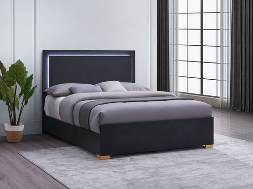 Marceline Beds 5 - Furniture Land (Milwaukee, WI)