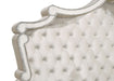 Antonella Bedroom Sets - Furniture Land (Milwaukee, WI)