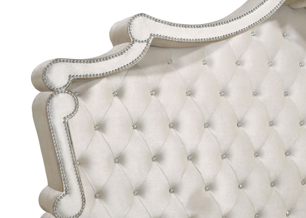 Antonella Beds - Furniture Land (Milwaukee, WI)
