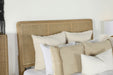 Arini Upholstered Panel Bed - Furniture Land (Milwaukee, WI)