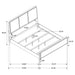 Arini Bedroom Set Beige - Furniture Land (Milwaukee, WI)