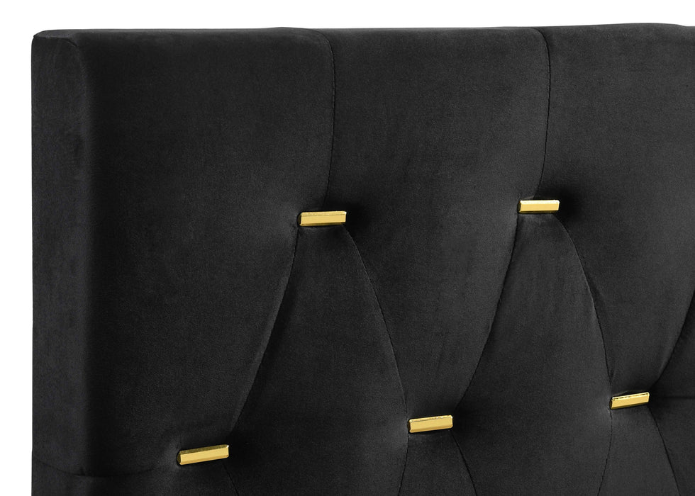 Kendall Panel Bed E.King, & Queen Black & White - Furniture Land (Milwaukee, WI)