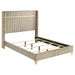 Lucia Eastern King & Queen Bed Beige & Grey - Furniture Land (Milwaukee, WI)