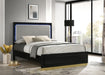 Caraway California King, E.King, & Queen Bed Black & White - Furniture Land (Milwaukee, WI)