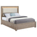 Kenora California King, E.king, & Queen Bed - Furniture Land (Milwaukee, WI)
