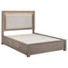 Kenora California King, E.king, & Queen Bed - Furniture Land (Milwaukee, WI)