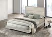 Trenton Beds - Furniture Land (Milwaukee, WI)