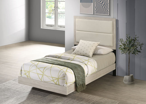 Trenton Beds - Furniture Land (Milwaukee, WI)