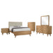 Robyn Bedroom Sets - Furniture Land (Milwaukee, WI)