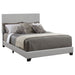 Dorian Beds 5 - Furniture Land (Milwaukee, WI)