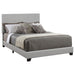 Dorian Upholstered California King, E.King, & Queen Bed Black, Brown, & Grey - Furniture Land (Milwaukee, WI)