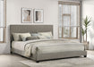 Dorian Panel Beds - Furniture Land (Milwaukee, WI)