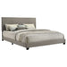 Dorian Panel Beds - Furniture Land (Milwaukee, WI)