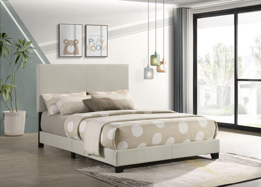 Dorian Beds 2 - Furniture Land (Milwaukee, WI)