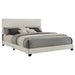 Dorian Panel Beds - Furniture Land (Milwaukee, WI)