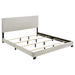 Dorian Panel Beds - Furniture Land (Milwaukee, WI)