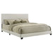 Dorian Panel Beds - Furniture Land (Milwaukee, WI)