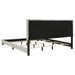 Dorian Panel Beds - Furniture Land (Milwaukee, WI)