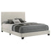 Dorian Panel Beds - Furniture Land (Milwaukee, WI)