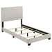Dorian Panel Beds - Furniture Land (Milwaukee, WI)