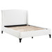 Mosby Queen Beds - Furniture Land (Milwaukee, WI)