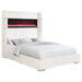 Tisdall Beds - Furniture Land (Milwaukee, WI)