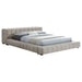 Trinity California King, E.king, Queen, & Full Bed Green & Light Taupe - Furniture Land (Milwaukee, WI)