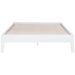Hounslow Platform Bases - Furniture Land (Milwaukee, WI)