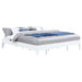 Hounslow Universal Platform Bed - Furniture Land (Milwaukee, WI)