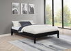 Hounslow Platform Bases - Furniture Land (Milwaukee, WI)