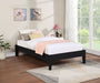 Hounslow Universal Platform Bed - Furniture Land (Milwaukee, WI)