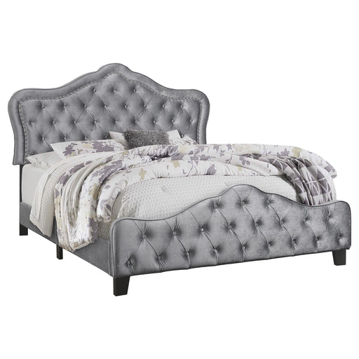 Bella Beds Cal.King & E.King, Queeen - Furniture Land (Milwaukee, WI)
