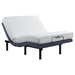 Clara Adjustable Beds - Furniture Land (Milwaukee, WI)
