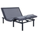 Clara Adjustable Beds - Furniture Land (Milwaukee, WI)