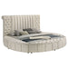Sonya Eastern King & Queen Bed - Furniture Land (Milwaukee, WI)