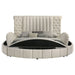 Sonya Eastern King & Queen Bed - Furniture Land (Milwaukee, WI)