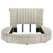Sonya Eastern King & Queen Bed - Furniture Land (Milwaukee, WI)