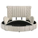 Sonya Eastern King & Queen Bed - Furniture Land (Milwaukee, WI)
