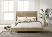 Zyla California King, E.King, & Queen Bed - Furniture Land (Milwaukee, WI)