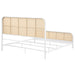 Lanewood Eastern King & Queen Bed Black & White - Furniture Land (Milwaukee, WI)