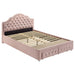 Ashleigh Full & Twin Bed - Furniture Land (Milwaukee, WI)