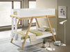 Frankie Bunk Beds - Furniture Land (Milwaukee, WI)