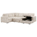 Devonshire Sleeper Sectionals - Furniture Land (Milwaukee, WI)
