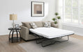 Storey Sleeper Sectionals - Furniture Land (Milwaukee, WI)