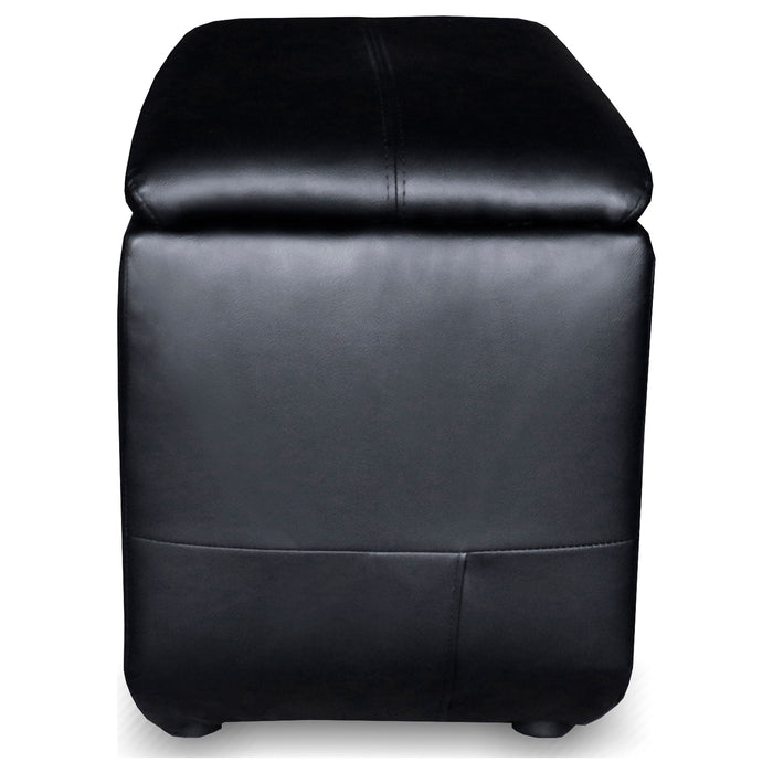 Cyrus Theater Seating - Furniture Land (Milwaukee, WI)