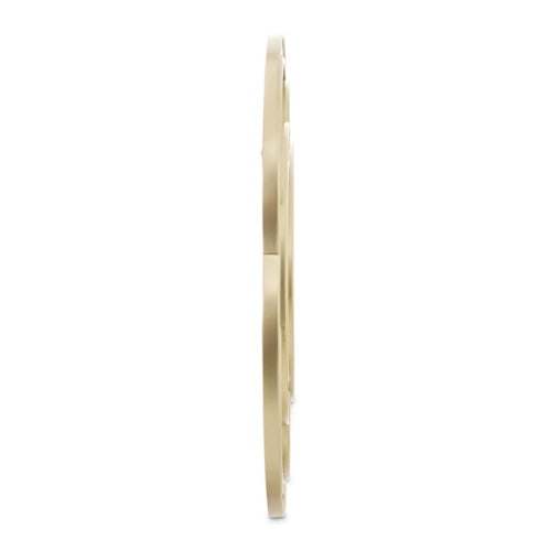 AICO Furniture Camellia Field Wall Mirror in Warm Pecan - Furniture Land (Milwaukee, WI)